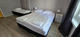 Asemakatu Pearl Stylish stay in central Kemi - 5