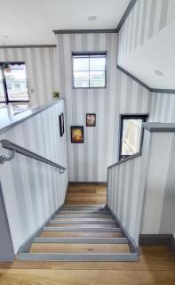 Miro St Stay - 2