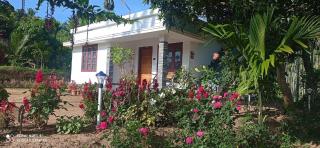 M S Farmstay - 8