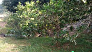 Camping do Mica - 6