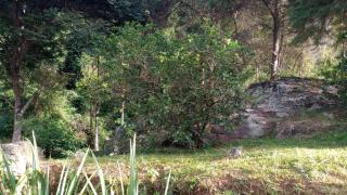 Camping do Mica - 2