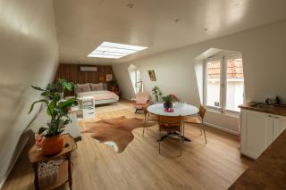 Logement Welgelegen - Charming private stay with sauna near Nijmegen - 3