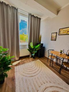 Apartament în chirie - 9