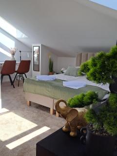 APARTAMENT typu DELUXE na poddaszu z 1 lub 2 łóżkami PARKING - 0