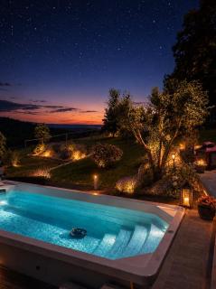 Weinberg der Sinne - Chalet mit Swim Spa und Hottub - 2