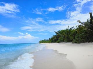 Salt Serenity - 5