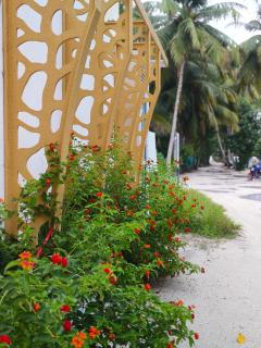 Salt Serenity - 7