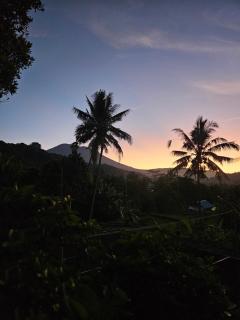 Kubu Dangin Ogang Guest House - 1