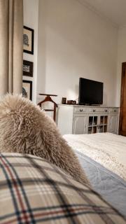 Apartament w kamienicy w sercu miasta Szczecin Wały Chrobrego - Szczecin - 8