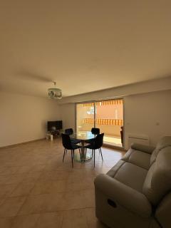 Spacious Apartment Portes De Monaco Terrace - 1