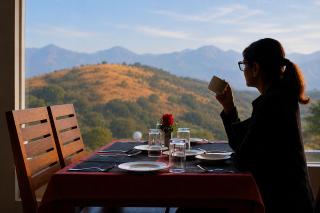 Pleasant Hill Resort - Munnar - Munnar - 5