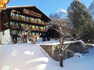 Hotel Tschuggen - Grindelwald - 8