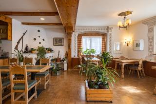 Hotel Alpina - 3