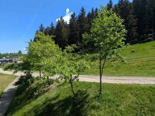 Studio au pied des pistes, animaux admis - FR-1-557-98 - 1