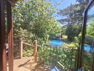 CABIN in hosts huge garden CHILD FRIENDLY with Hens Kittens firepit Marshmallows - 7