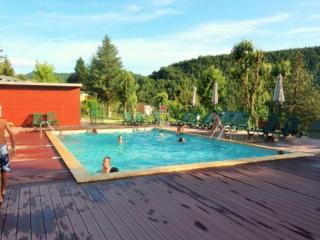 Maison avec Terrasse au Cœur des Cévennes - API-1-52-1727 - 3