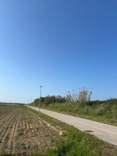 Oasi Fronte Mare Appartamenti - 9