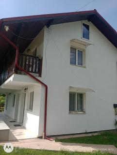 Pensiunea Leon Geoagiu băi - 1