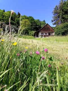 Oldie Goldie Cottage - 1