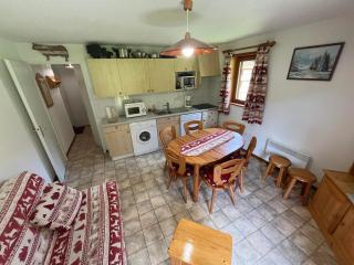 Appartement cosy 2 chambres avec balcon sud/est, parking, garage - 6 personnes - FR-1-198-140 - 0