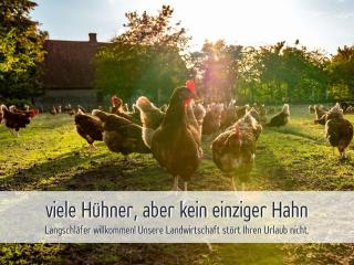Wisch-Hof Krokau - ideal für Radfahrer - viel Platz drinnen & draußen, Kleinkindausstattung, Radwege ab Hof - Strand 3,5 km & viele Ausflugsziele für jedes Wetter - 4