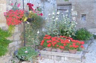 Le Moulin de Lusseau - Chef-Boutonne - 1