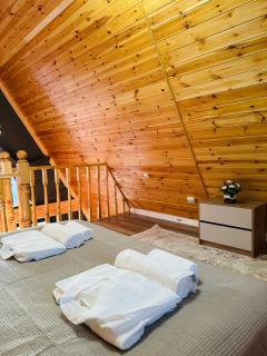 Tengri House A-Frame Issyk-Kul - 4
