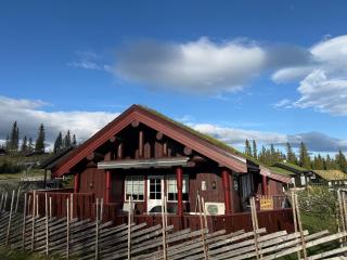 Cozy cabin centrally located at Skeikampen - 8