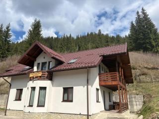 Casa Diaconu - 1