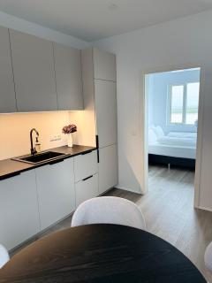 New Modern Two bedroom Apartment - 1