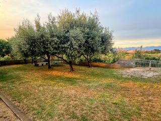 Apartmani Dorijan - 6