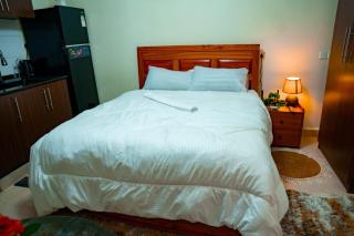 D&C Luxury Studio, Kawe - 7