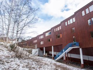 Appartement confortable au centre, balcon, WiFi gratuit - FR-1-346-541 - 1