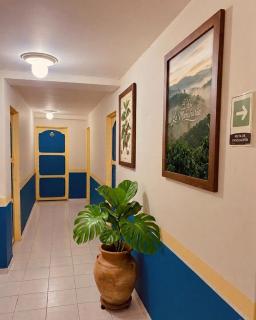 Hotel Dorado Jardín - 1