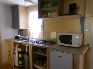 Mobil home cosy avec terrasse - 4 pers. - API-1-52-2793 - 9