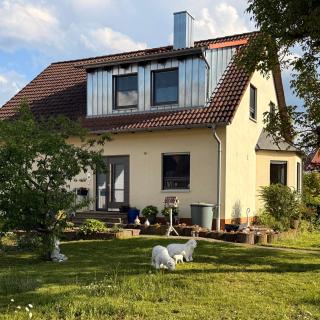 FeWo Kreinerhof - 8
