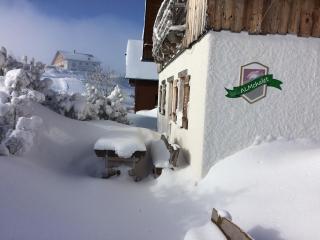 Almchalet Feuerkogel - Ebensee - 7