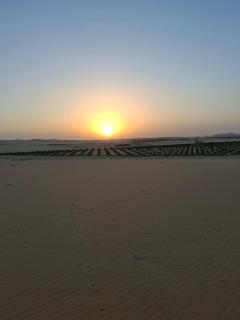 King Nile Luxor - 8