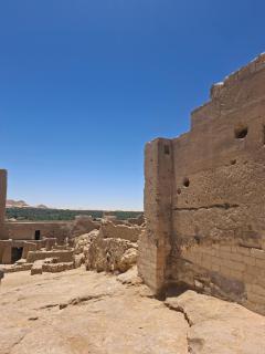 King Nile Luxor - 9