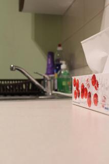 Krynica Zdrój Apartament I piętro - Apartamenty w Górach 105 - 3