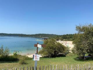 Maison paisible au cœur du parc des Landes - 1