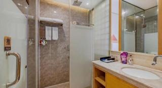 Borrman Hotel Yichun Municipal Government Ronghuicheng - 4