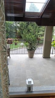 Sospesi nel verde - 2