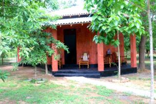 Lavish Eco Jungle - Tissamaharama - 2