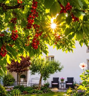 Appartment Lodged Mamma Maria - 7