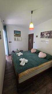 Apartman Ivan Bibinje - 1