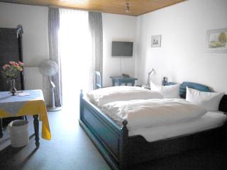 Hotel-Gasthof-Destille-Eisenbahn - Mosbach - 8