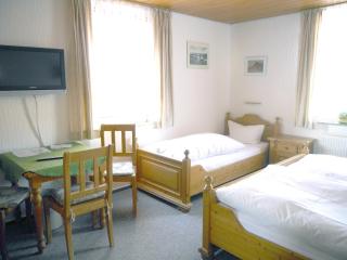 Hotel-Gasthof-Destille-Eisenbahn - Mosbach - 7
