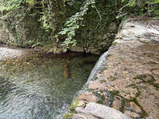 Le Moulin - Au cœur des Cévennes - 2