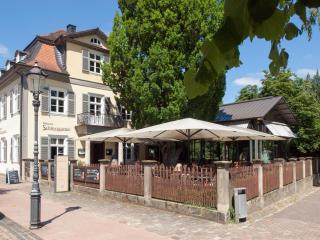 Fewo Hoppenhof 2 Twistesee - 2